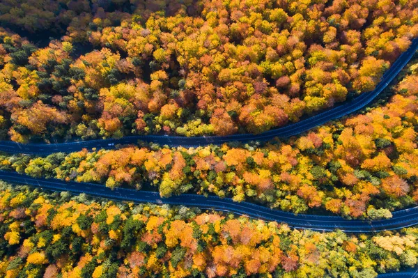 Vista Aerea Della Strada Curva Attraverso Foresta Autunnale Colorata — Foto Stock