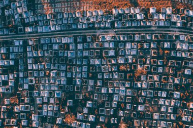 Mezarlık ve mezarların insansız hava aracı görüntüsü. Mezarlık, yukarıdan görünüm. 