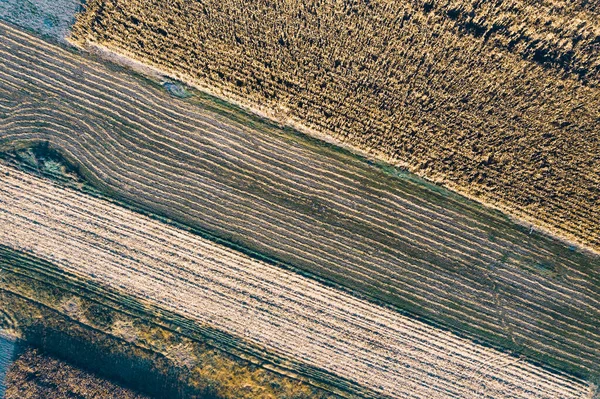 Luftaufnahme Über Die Landwirtschaftlichen Felder — Stockfoto