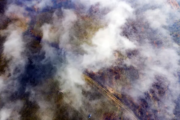 Тонкий Туман Над Осенними Холмами Воздушный Вид Беспилотник — стоковое фото