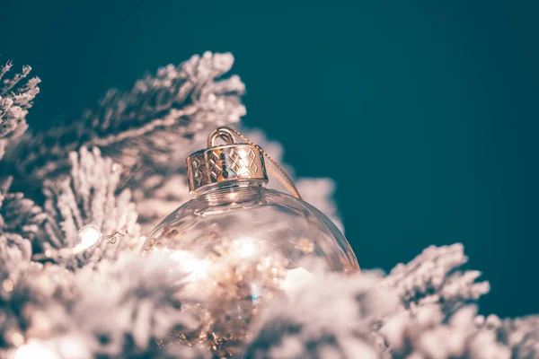 Concept Hiver Vacances Décoration Branche Sapin Pleine Neige Dans Lumière — Photo