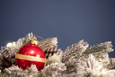 Noel balosu, Bokeh ışıkları ve köknar dalıyla büyülü tatil geçmişi