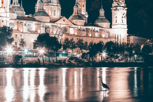 Grey Heron Elbro River Cathedral Basilica Our Lady Pilla Background — Zdjęcie stockowe