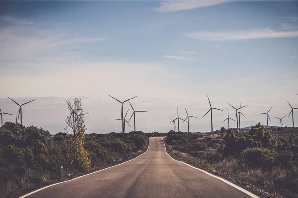 Driving Field Wind Turbines Aligned Windmills Renowable Electric Production Spain — Stok fotoğraf