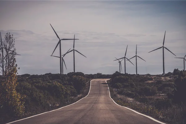 Driving Field Wind Turbines Aligned Windmills Renowable Electric Production Spain — Stok fotoğraf