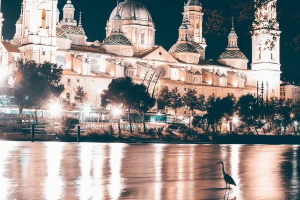 Grey Heron Elbro River Cathedral Basilica Our Lady Pilla Background — Foto Stock