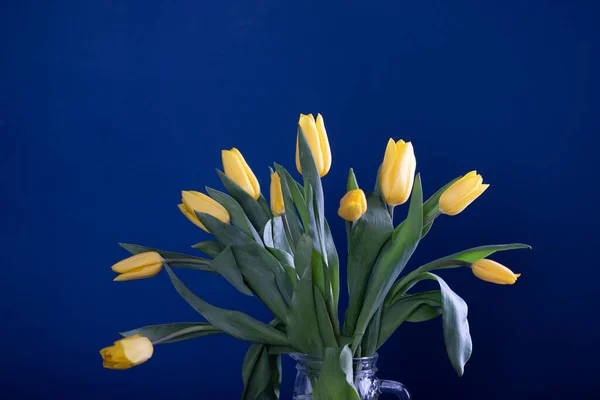 Mooie Gele Tulpen Een Blauwe Achtergrond — Stockfoto