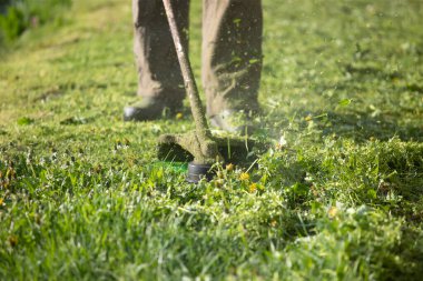 Çim biçme makinesiyle çimleri biçmek. Bahçe işleri konsepti.