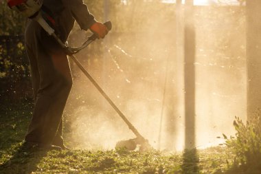 Çim biçme makinesiyle çimleri biçmek. Bahçe işleri konsepti.