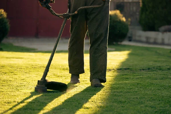 Çim biçme makinesiyle çimleri biçmek. Bahçe işleri konsepti.