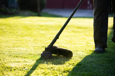Çim biçme makinesiyle çimleri biçmek. Bahçe işleri konsepti.