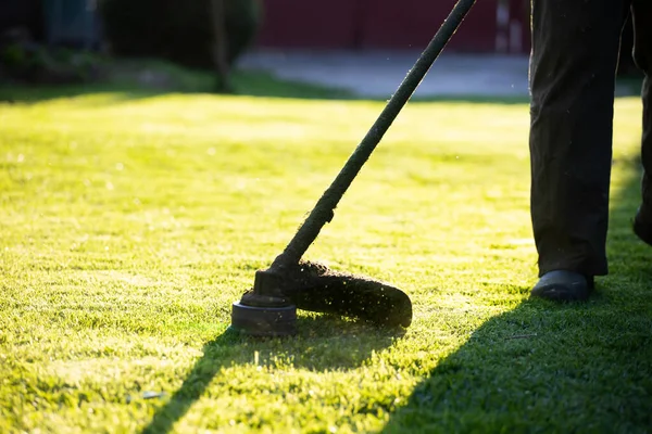 Çim biçme makinesiyle çimleri biçmek. Bahçe işleri konsepti.