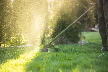 Çim biçme makinesiyle çimleri biçmek. Bahçe işleri konsepti.