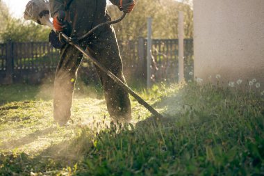 Çim biçme makinesiyle çimleri biçmek. Bahçe işleri konsepti.
