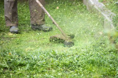 Çim biçme makinesiyle çimleri biçmek. Bahçe işleri konsepti.