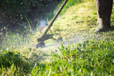 Çim biçme makinesiyle çimleri biçmek. Bahçe işleri konsepti.