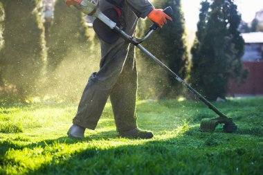 Çim biçme makinesiyle çimleri biçmek. Bahçe işleri konsepti.
