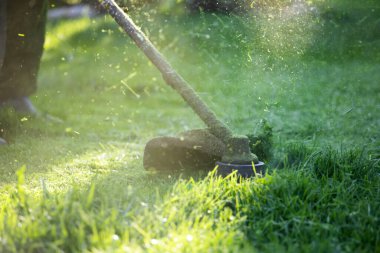 Çim biçme makinesiyle çimleri biçmek. Bahçe işleri konsepti.