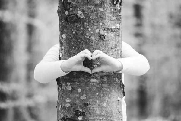 Kinderhände Formen Ein Herz Auf Einem Baumstamm Umarmung Schutz Der — Stockfoto