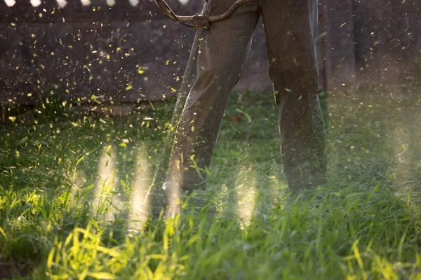 Rasenmähen Mit Dem Rasenmäher Gartenarbeit Konzept Hintergrund — Stockfoto