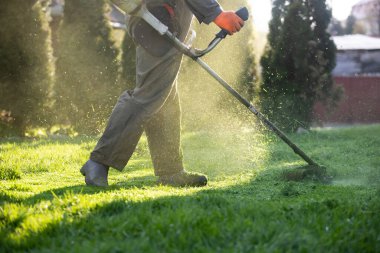 Çim biçme makinesiyle çimleri biçmek. Bahçe işleri konsepti.