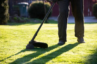 Çim biçme makinesiyle çimleri biçmek. Bahçe işleri konsepti.