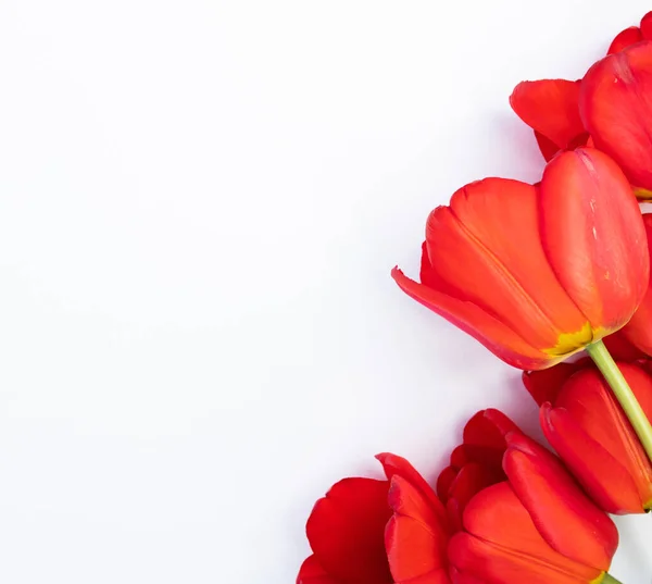 Boeket Verse Tulpen Lege Kaart Voor Kopie Ruimte — Stockfoto