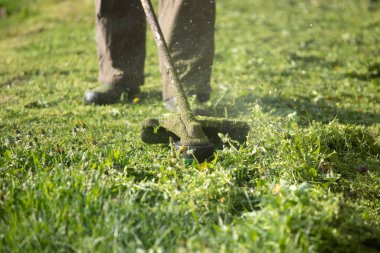 Çim biçme makinesiyle çimleri biçmek. Bahçe işleri konsepti.