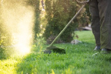 Çim biçme makinesiyle çimleri biçmek. Bahçe işleri konsepti.