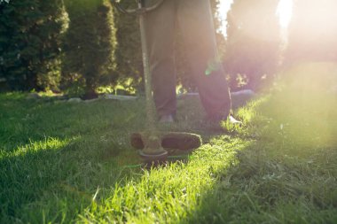 Çim biçme makinesiyle çimleri biçmek. Bahçe işleri konsepti.
