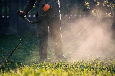 Çim biçme makinesiyle çimleri biçmek. Bahçe işleri konsepti.