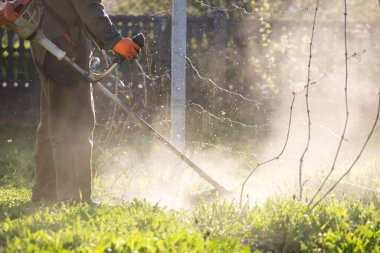 Çim biçme makinesiyle çimleri biçmek. Bahçe işleri konsepti.