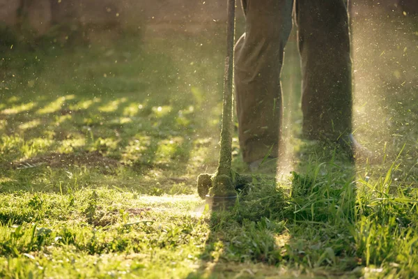 Cortando Hierba Con Una Cortadora Césped Jardín Trabajo Concepto Fondo —  Fotos de Stock
