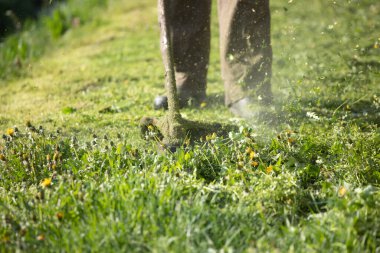 Çim biçme makinesiyle çimleri biçmek. Bahçe işleri konsepti.