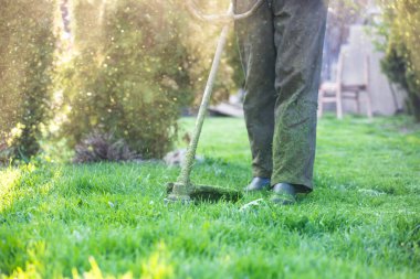 Çim biçme makinesiyle çimleri biçmek. Bahçe işleri konsepti.