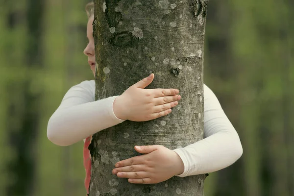 Kid Hans Embracing Tree Trunk Embracing Protecting Nature Concept — Stock Photo, Image