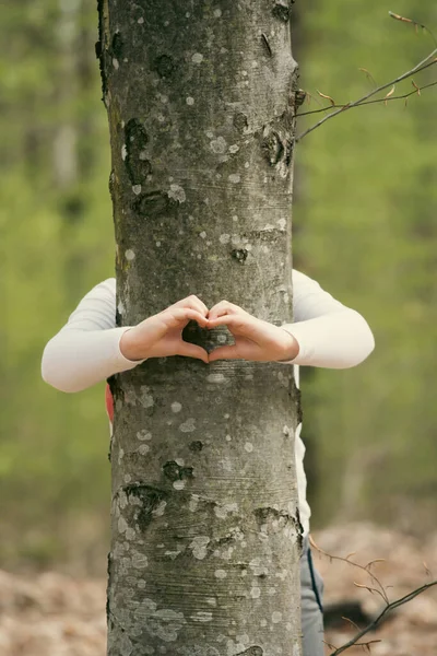 Barnets Händer Gör Hjärtform Trädstam Omfamna Skydda Naturen Koncept — Stockfoto