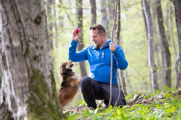 Adam Ormanda Köpeğiyle Oynuyor — Stok fotoğraf