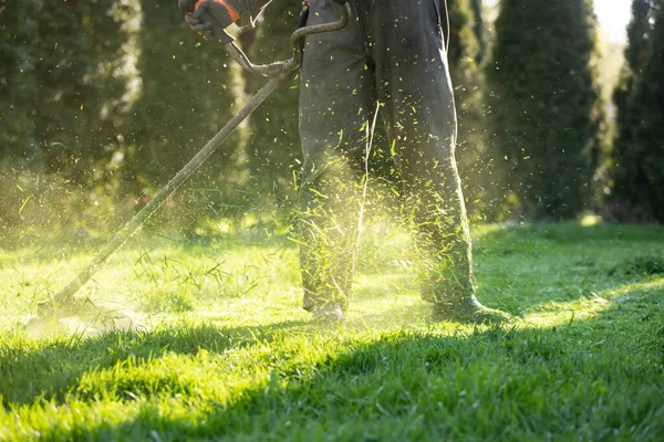 Cortar Relva Com Cortador Relva Jardim Trabalho Fundo Conceito — Fotografia de Stock