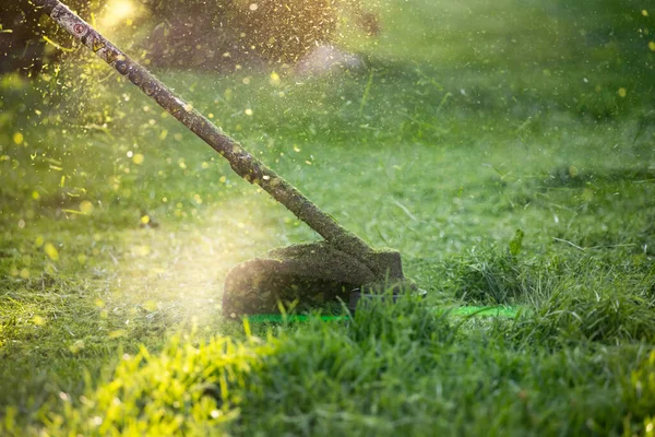 Tondre Herbe Avec Une Tondeuse Gazon Jardin Travail Concept Arrière — Photo