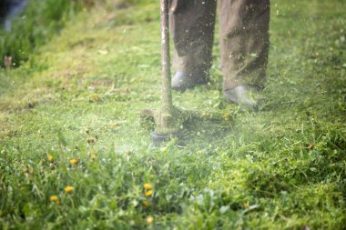 Çim biçme makinesiyle çimleri biçmek. Bahçe işleri konsepti.