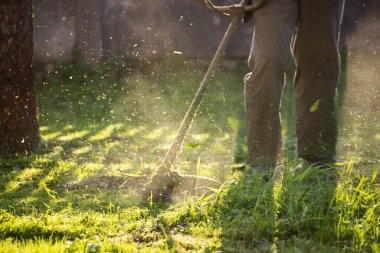 Çim biçme makinesiyle çimleri biçmek. Bahçe işleri konsepti.