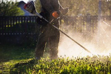 Çim biçme makinesiyle çimleri biçmek. Bahçe işleri konsepti.