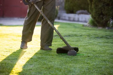 Çim biçme makinesiyle çimleri biçmek. Bahçe işleri konsepti.