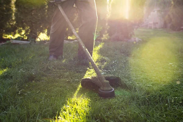 Cortando Hierba Con Una Cortadora Césped Jardín Trabajo Concepto Fondo —  Fotos de Stock