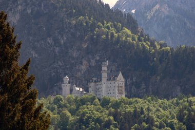 Almanya 'nın Neuschwanstein Şatosu ile resim gibi bahar manzarası