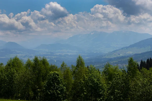 Green Meadows Alps Austria Rocky Mountains Steep Stony Slopes Sunny — Stock Photo, Image