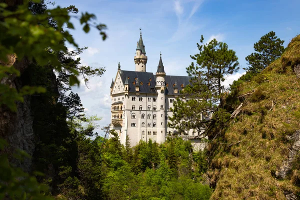 Pittoresco Paesaggio Primaverile Con Castello Neuschwanstein Germania — Foto Stock