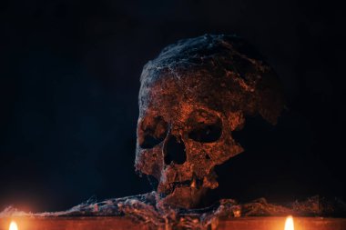 Gizemli, sisli ışıkta gerçek bir insan kafatası. Cadılar Bayramı için korkunç duvar kâğıdı..