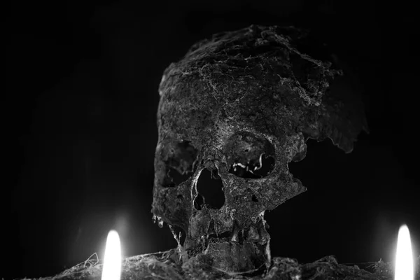 Cráneo Humano Real Con Luz Misteriosa Nebulosa Fondo Pantalla Espeluznante —  Fotos de Stock